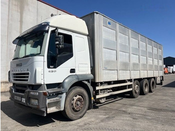 Camion bétaillère IVECO Stralis