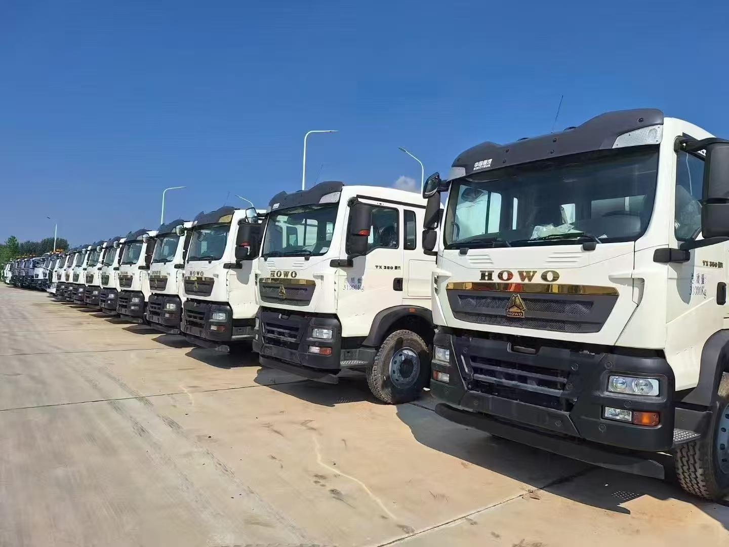 Jining Chengshun International Trade Co. Ltd. - Camions - Euro 3 undefined: photos 9