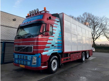 Camion bétaillère VOLVO FH 460