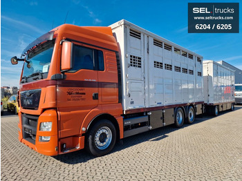 Camion bétaillère MAN TGX 26.480