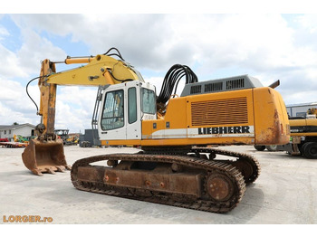 Pelle sur chenille Liebherr R 954 B: photos 2