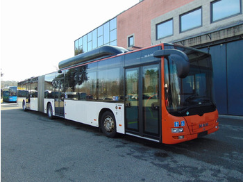 Bus articulé MAN