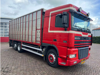 Camion bétaillère DAF XF 95 380