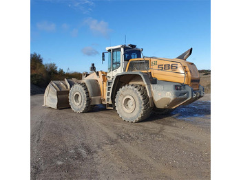 Chargeuse sur pneus Liebherr L586 XPower: photos 2