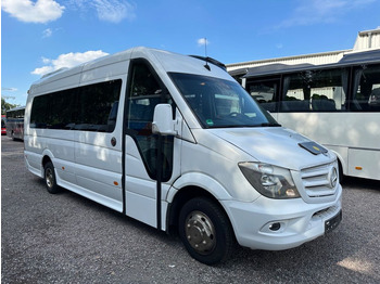 Minibus MERCEDES-BENZ Sprinter 519